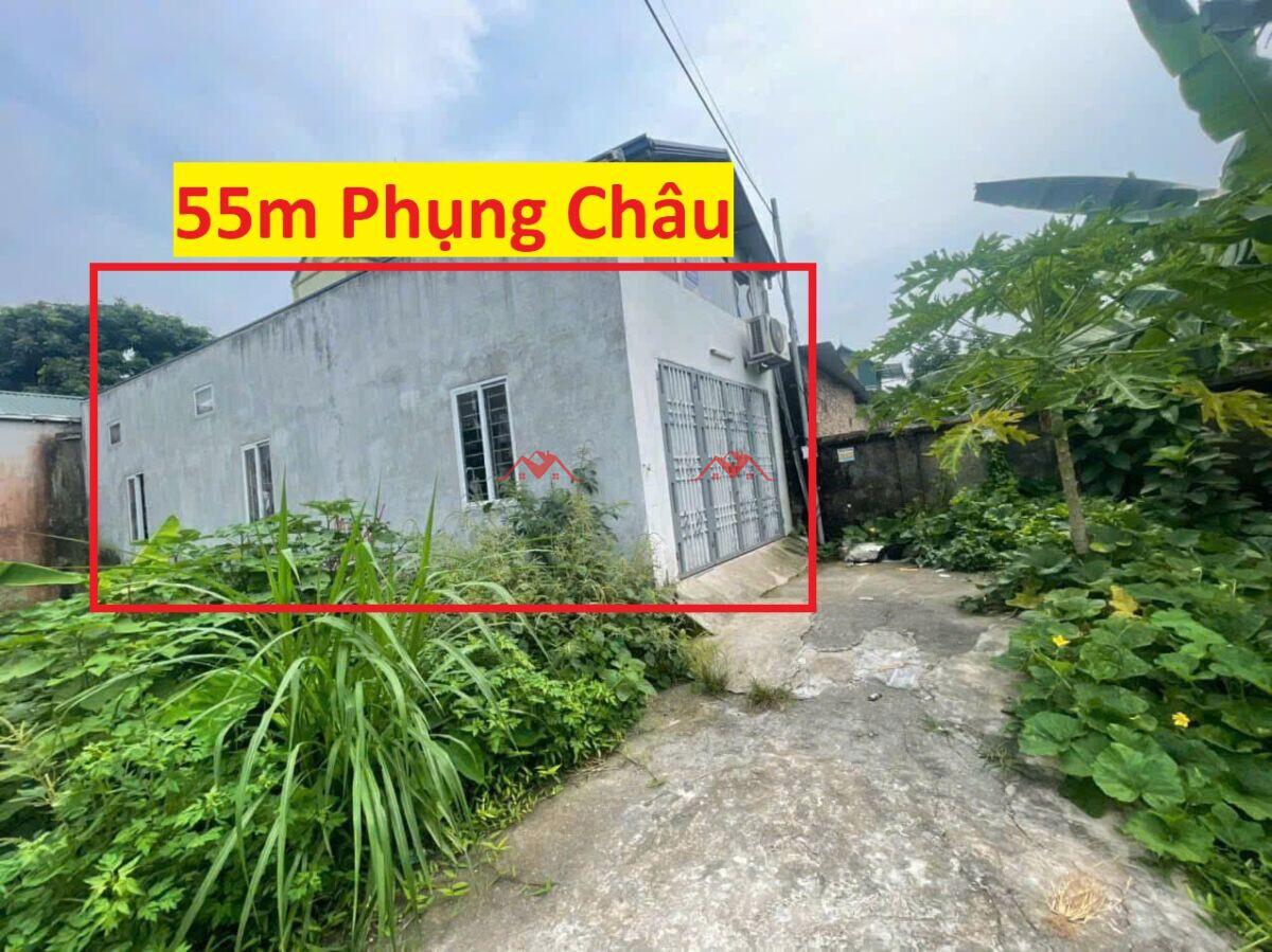 55m Phượng Đồng – Phụng Châu – Chương Mỹ – Hà Nội