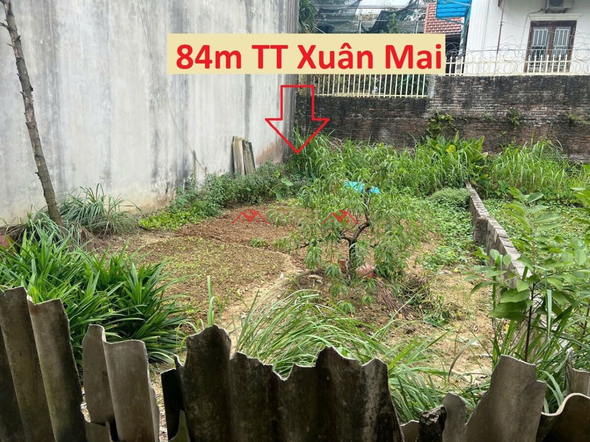 84m Tiên Trượng – TT Xuân Mai – Huyện Chương Mỹ