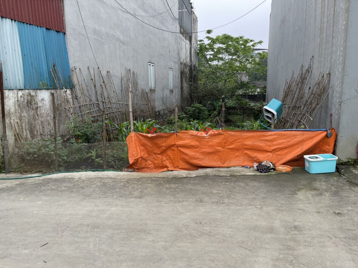 121 Miếu Môn – Trần Phú – Chương Mỹ