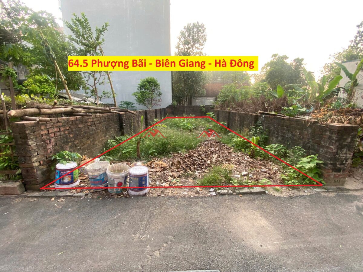 Đất 64.5m Phượng Bãi – Biên Giang – Hà Đông