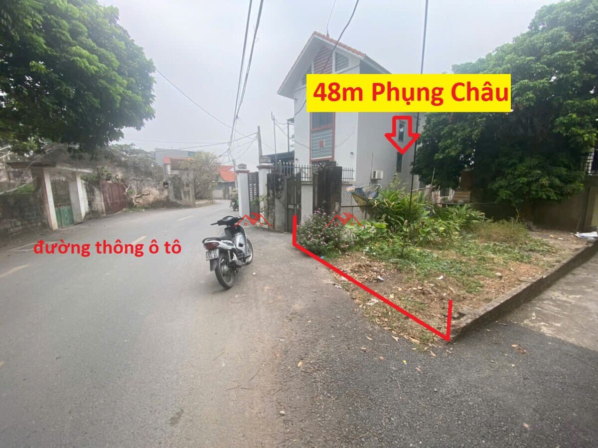 48m Phượng Nghĩa – Phụng Châu – Chương Mỹ – Hà Nội