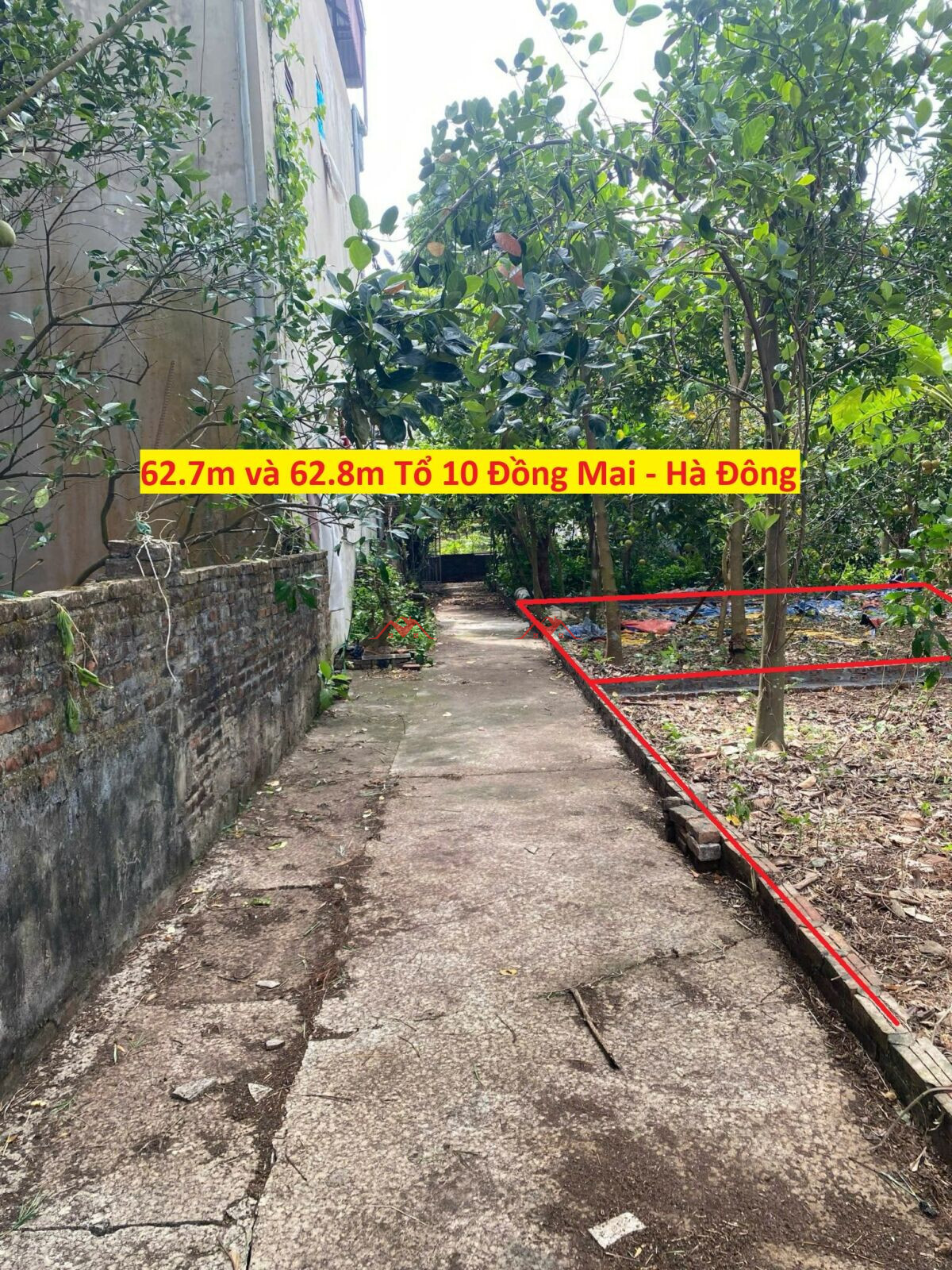 62.6m và 62.9m Tại Tổ 10 – Đồng Mai – Hà Đông