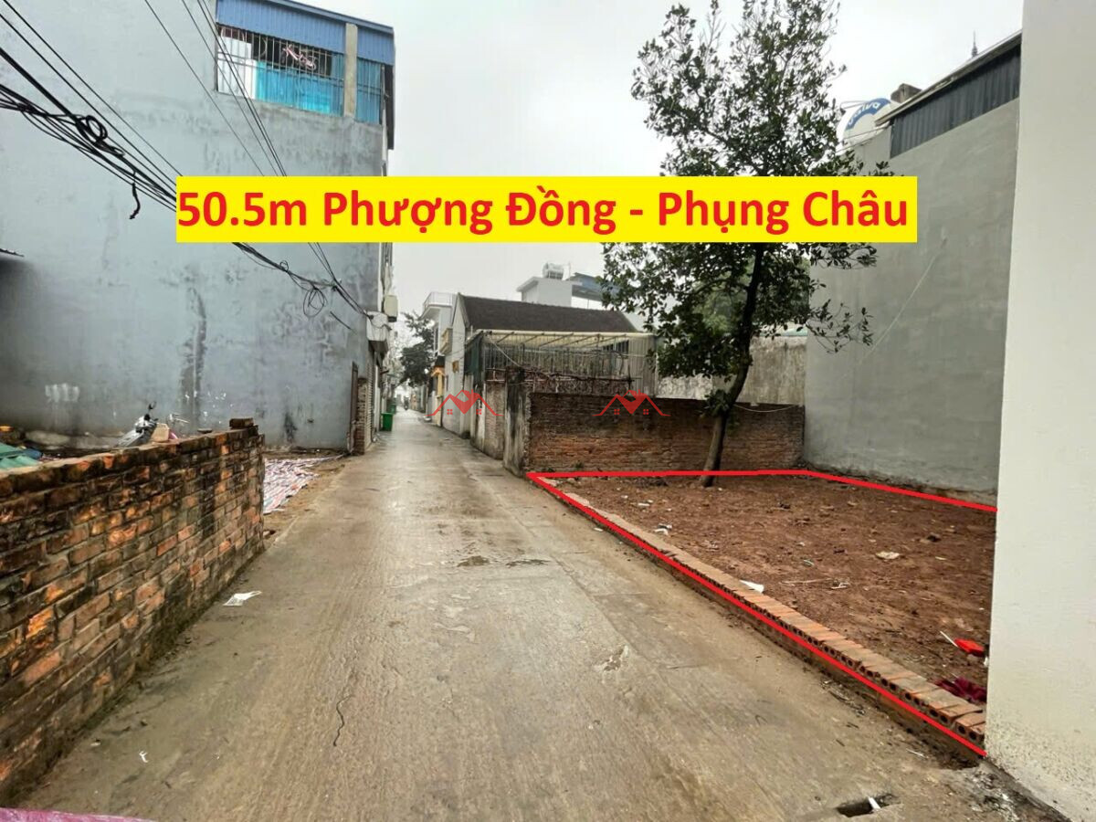 Đất 50.5m Phượng Đồng – Phụng Châu – Chương Mỹ – Hà Nội