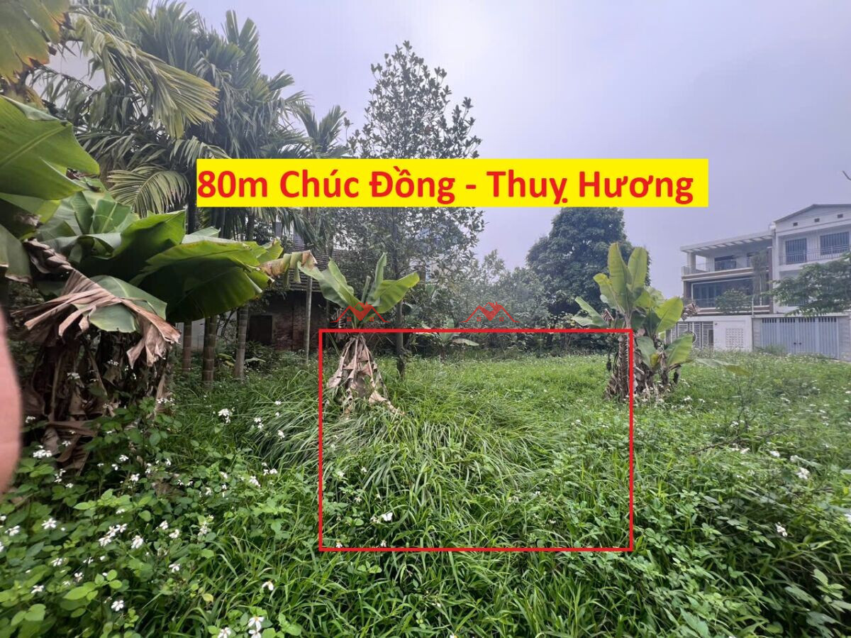 Đất 80m Chúc Đồng – Thuỵ Hương – Chương mỹ