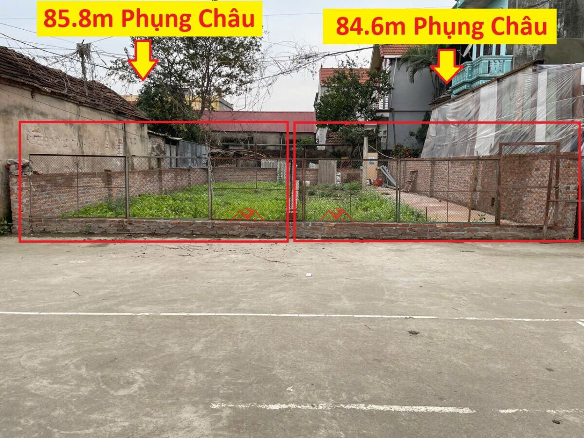 84.6m Phượng Bản – Phụng Châu – Chương Mỹ – Hà Nội