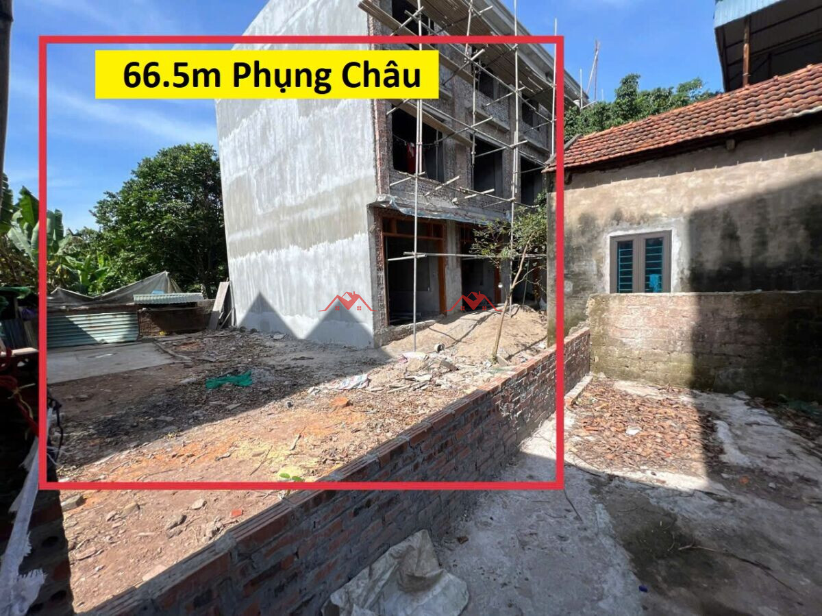 66.5m Phượng Đồng – Phụng Châu – Chương Mỹ – Hà Nội