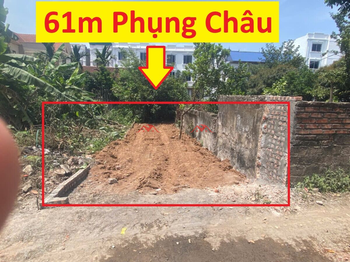 61m Phượng Đồng – Phụng Châu – Chương Mỹ – Hà Nội