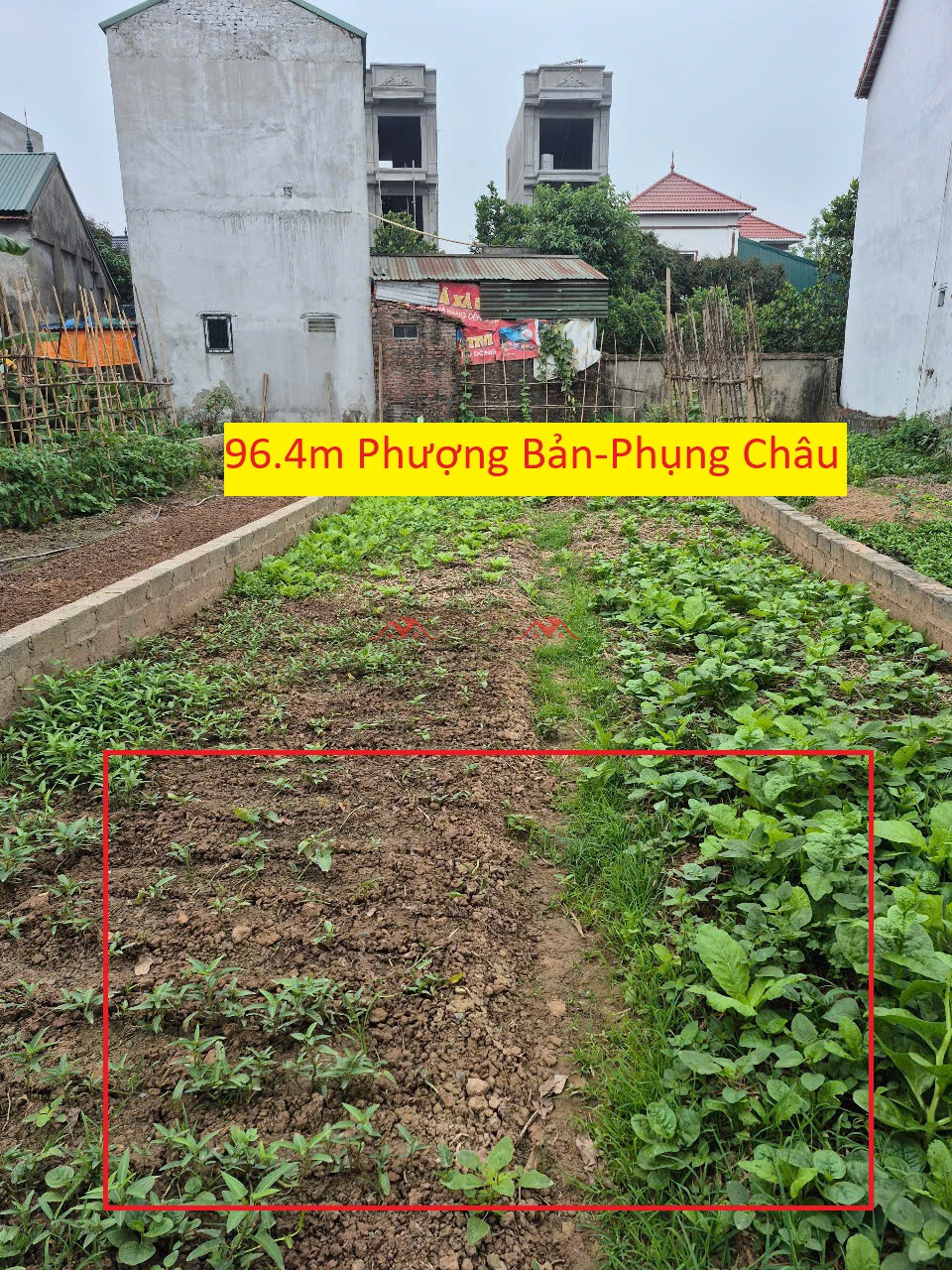 96.4m Phượng Bản – Phụng Châu – Chương Mỹ
