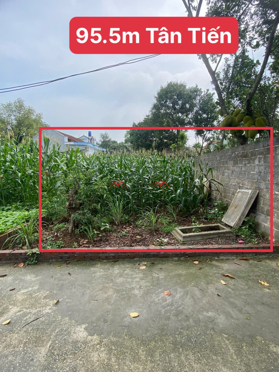 95.5m Tân Tiến – Chương Mỹ – Hà Nội