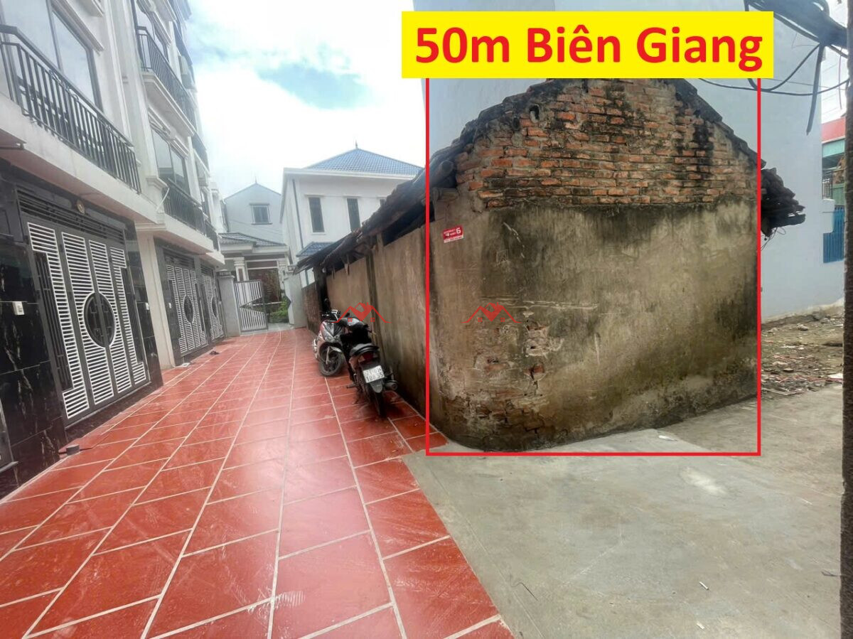 50m Giang Lẻ – Biên Giang – Hà Đông