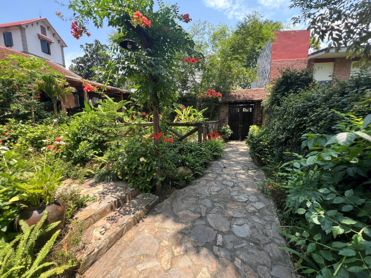 275m Nghỉ dưỡng tiên phương. Chương Mỹ.