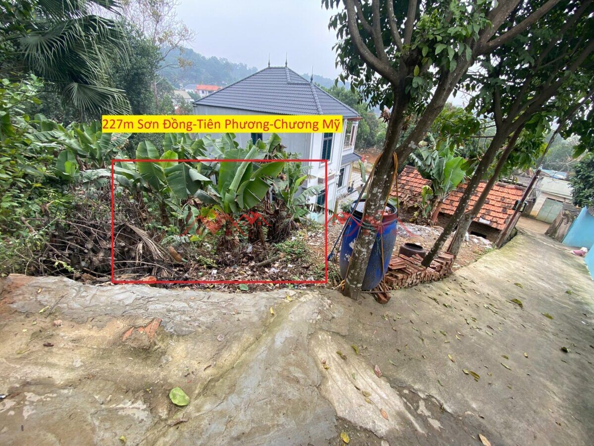 227m Sơn Đồng – Tiên Phương – Chương Mỹ