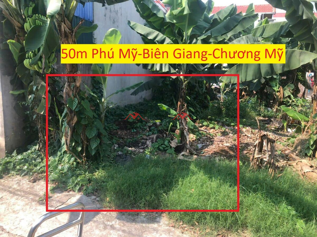 50m Phú Mỹ – Biên Giang – Hà Đông