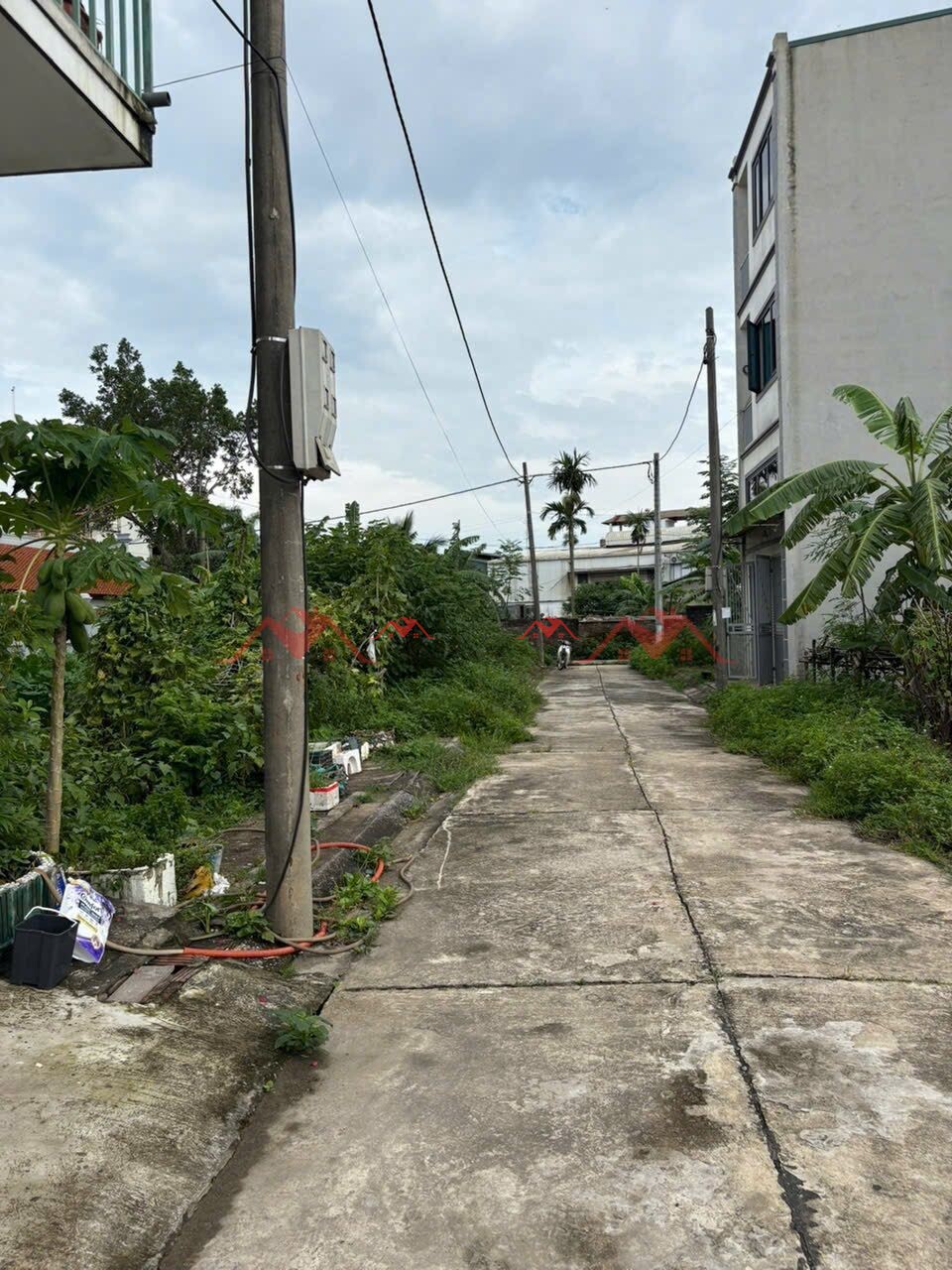 52.5m Khu đấu giá Phúc Tiến – Biên Giang – Hà Đông