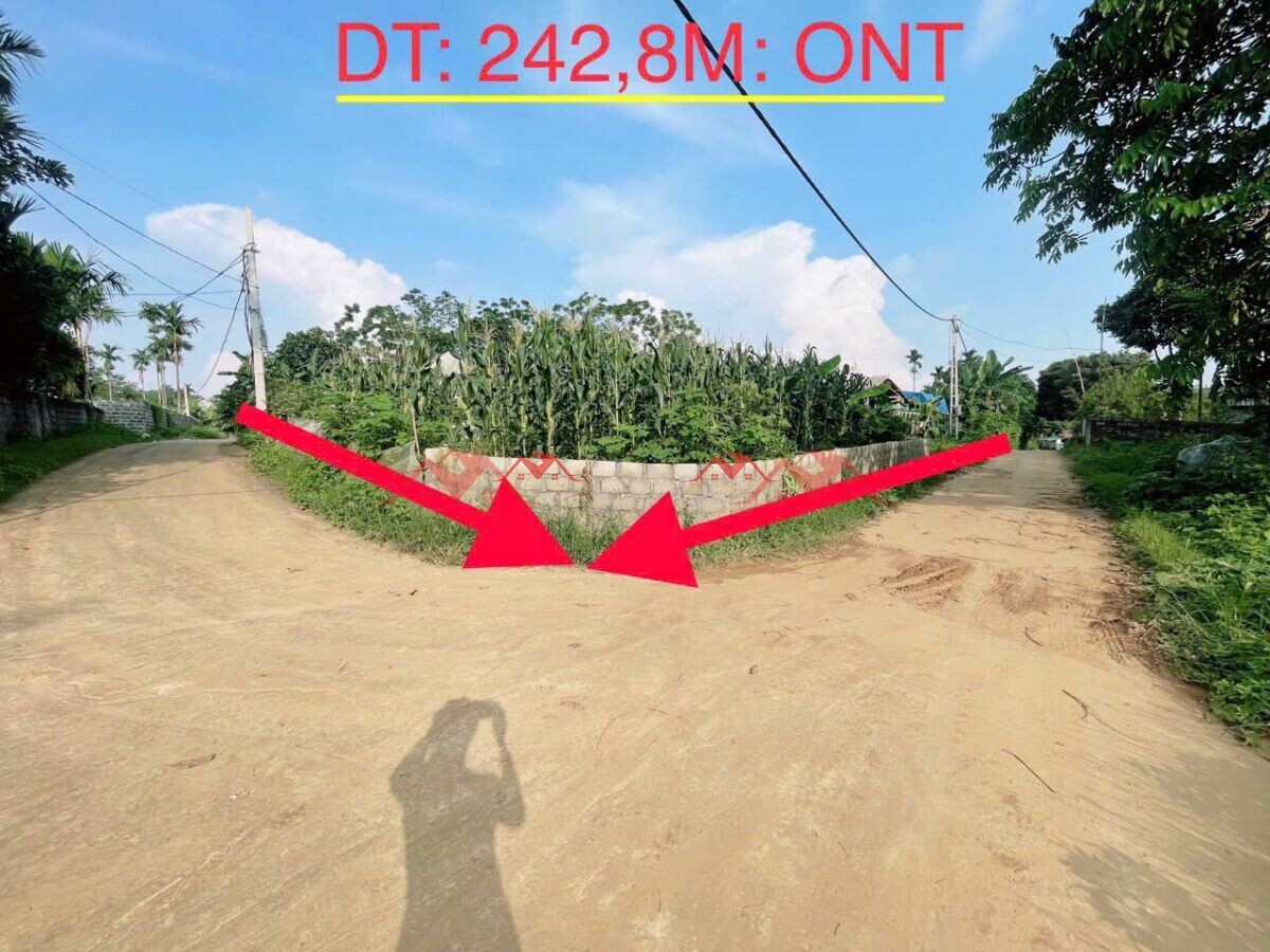 242.8m Cao Dương – Lương Sơn – Hoà Bình