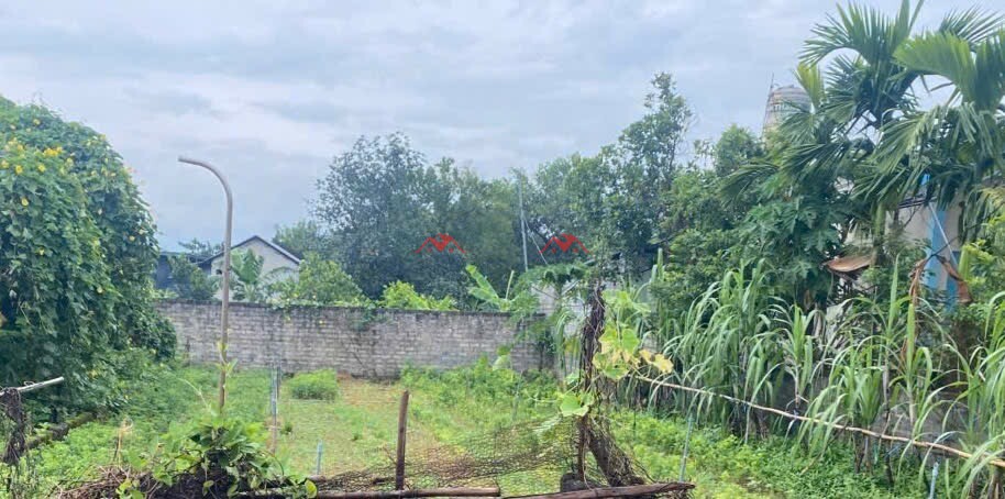 173m Hạnh Cồn – Nam Phương Tiến – Chương Mỹ