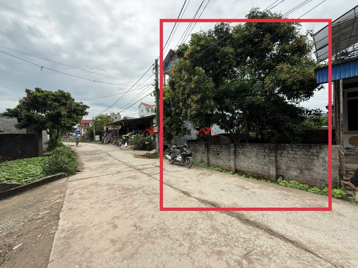 100m An Mỹ – Thượng Vực – Chương Mỹ