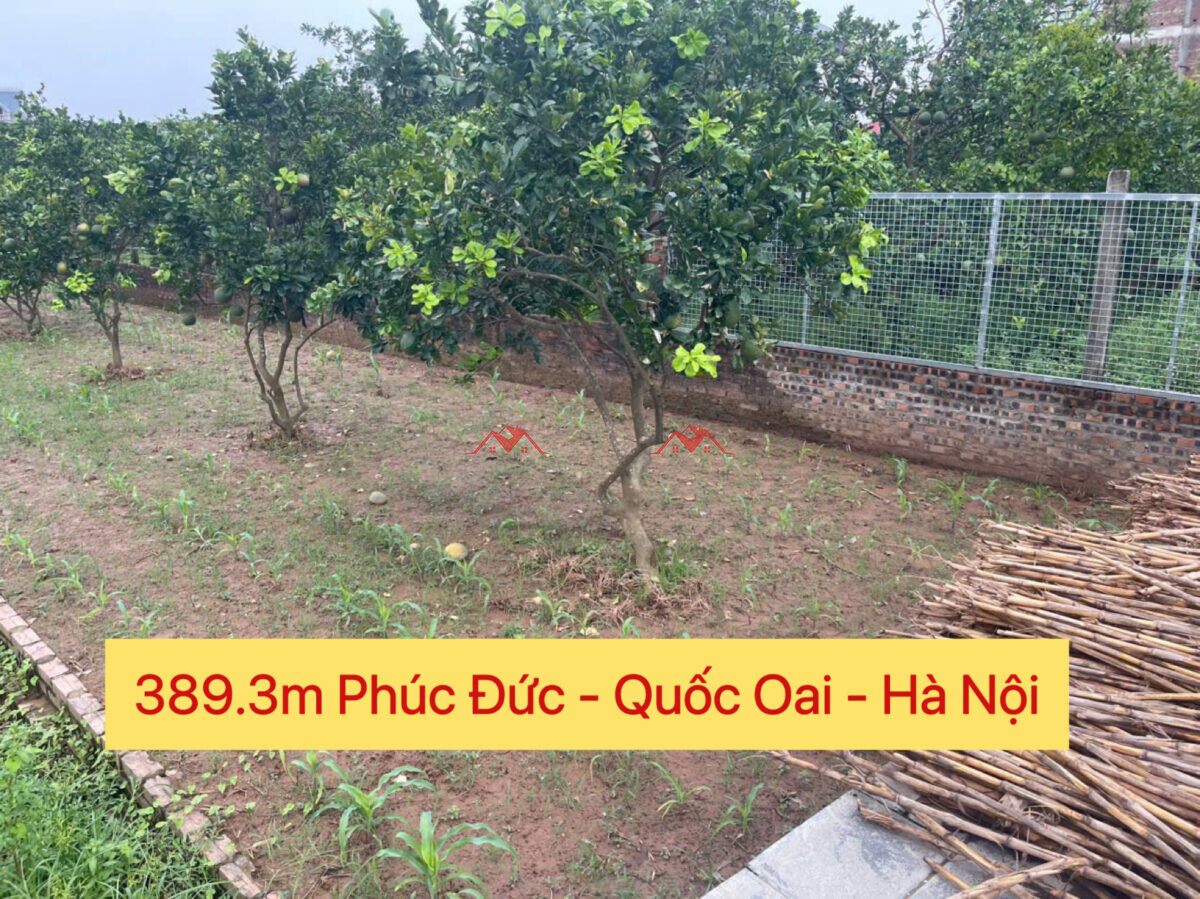 389.3m Phúc Đức – Quốc Oai – Hà Nội