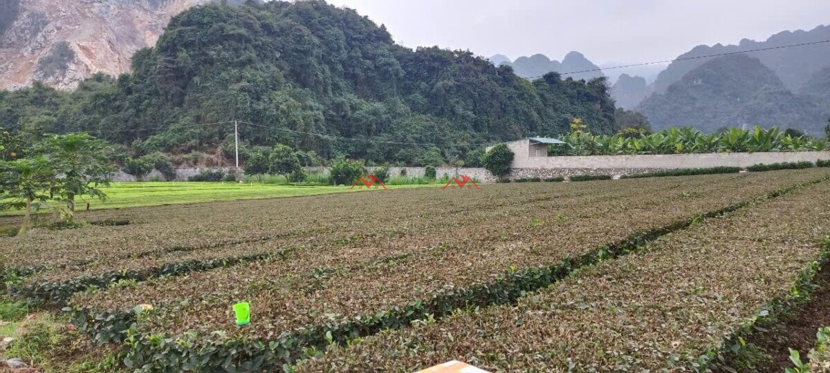 4978.4m Phú Thành – Lạc Thuỷ – Hoà Bình