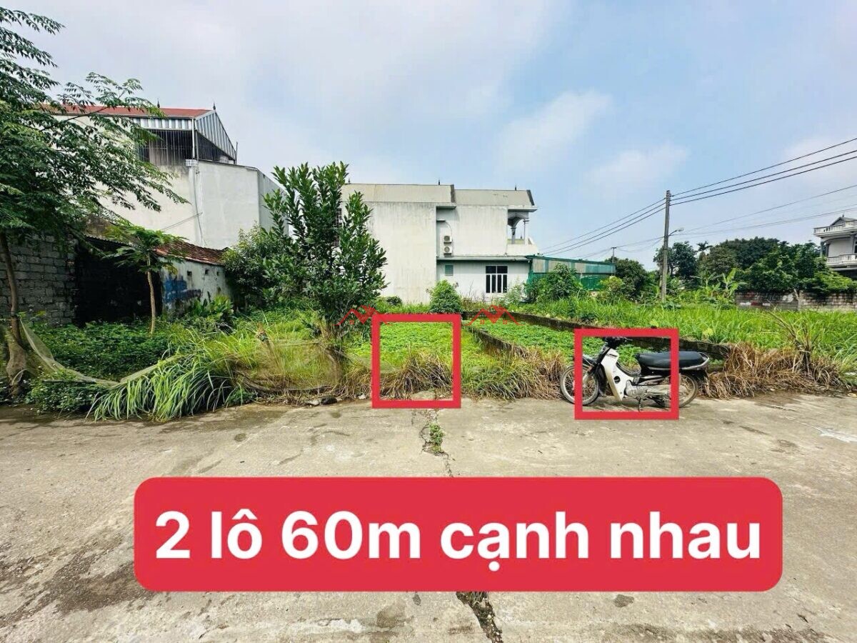 2Lô LK 60m Văn Mỹ – Hoàng Văn Thụ – Chương Mỹ – Hà Nội