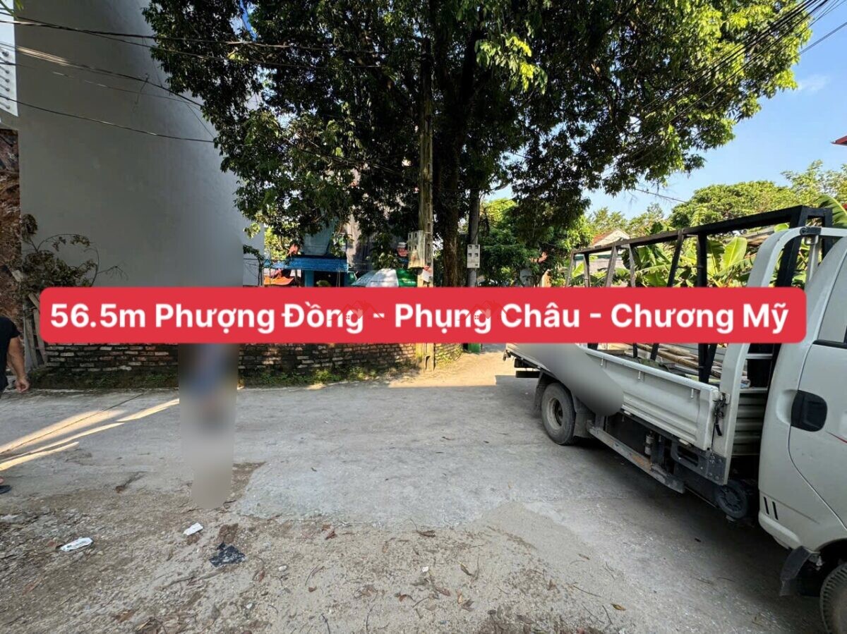 56.5m Phượng Đồng – Phụng Châu – Chương Mỹ