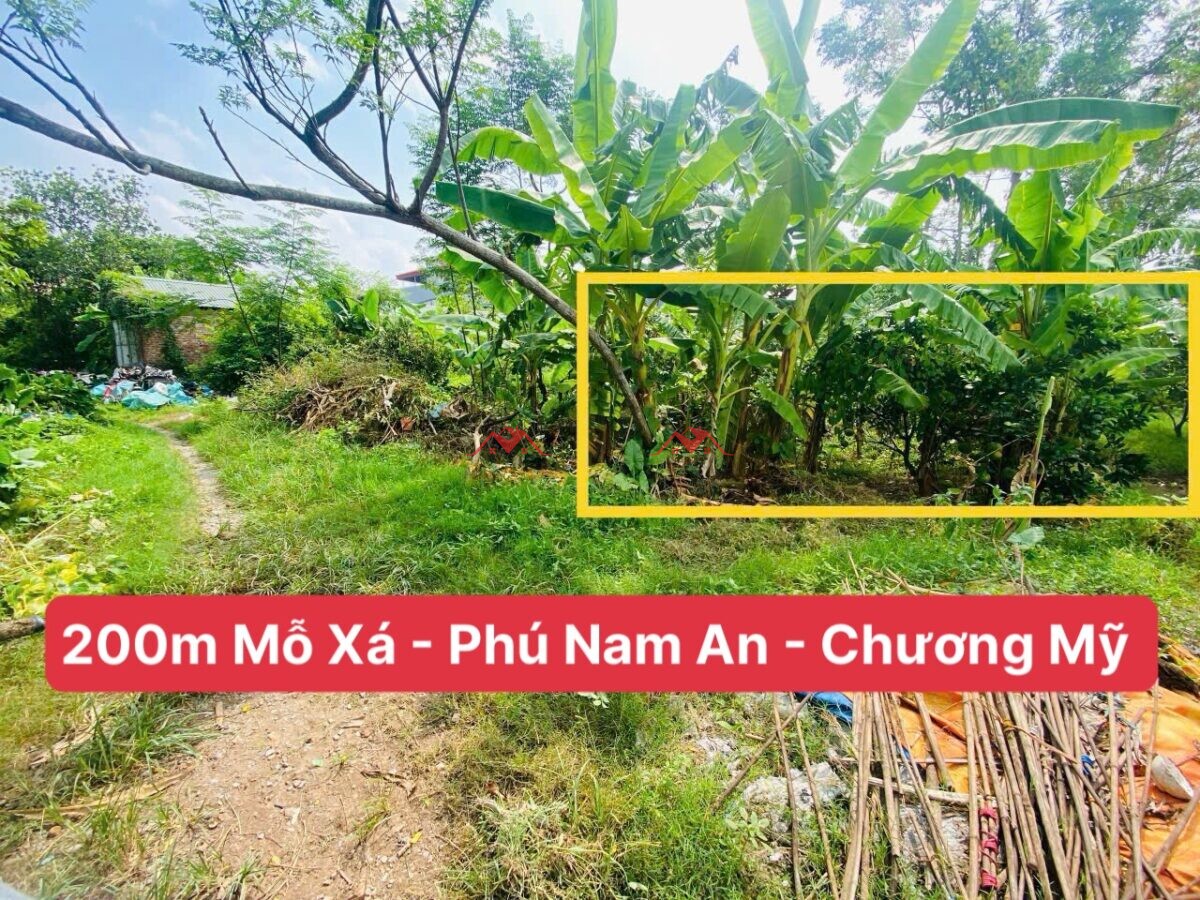 200m Mỗ Xá – Phú Nam An – Chương Mỹ