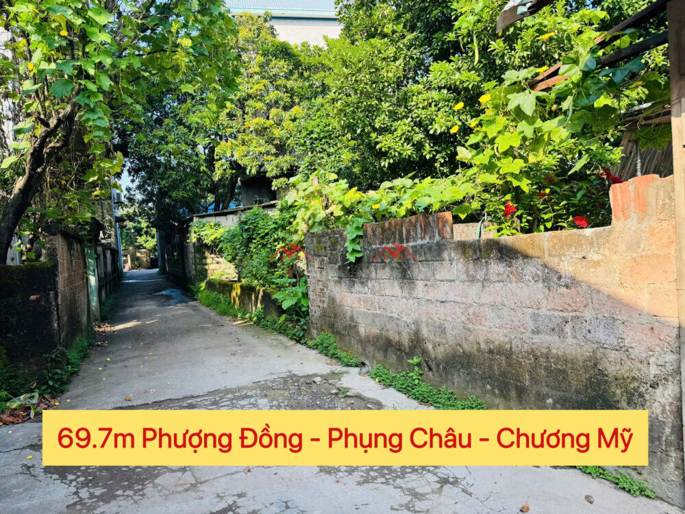 69.7m Phượng Đồng – Phụng Châu – Chương Mỹ