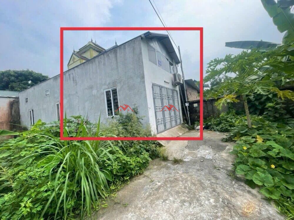 55m Phượng Đồng – Phụng Châu – Chương Mỹ