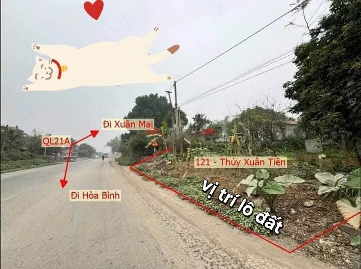 121m Xuân Sen – Thuỷ Xuân Tiên – Chương Mỹ