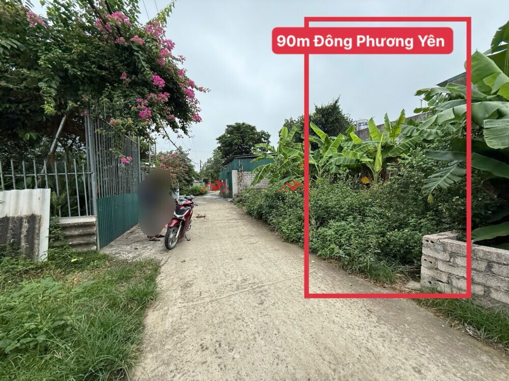 90m Đông Phương Yên . Phú Nghĩa. Chương Mỹ.