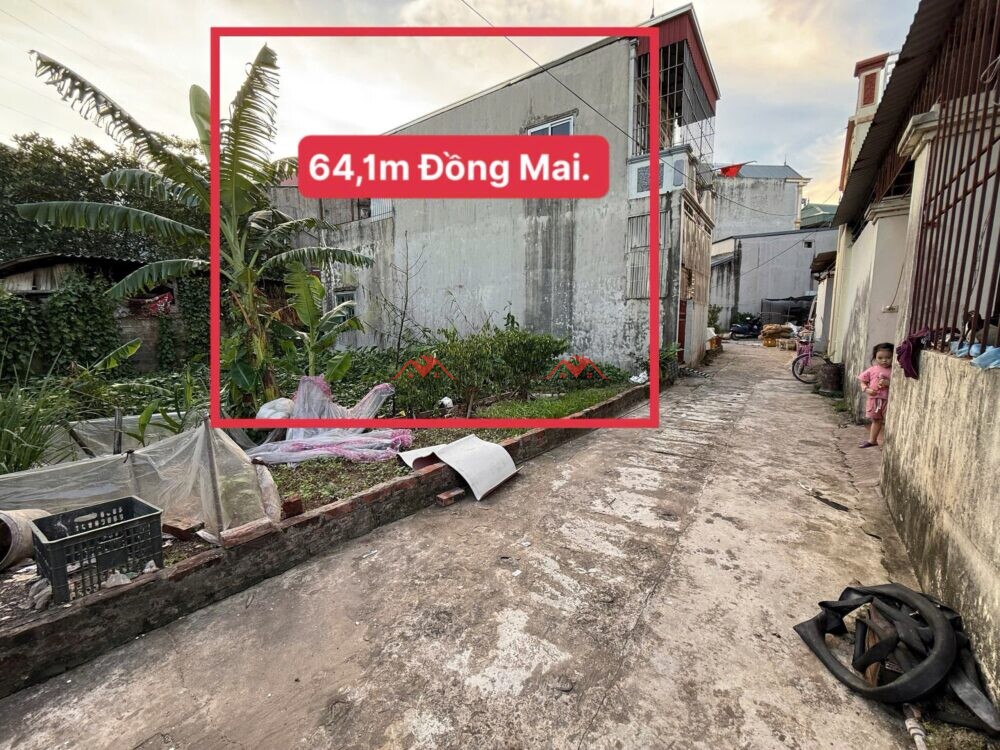 Đất 64.1m Đồng Hoàng – Đồng Mai – Hà Đông