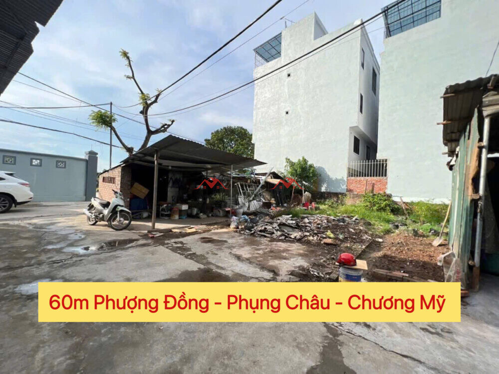 60m Phượng Đồng – Phụng Châu – Chương Mỹ – Hà Nội