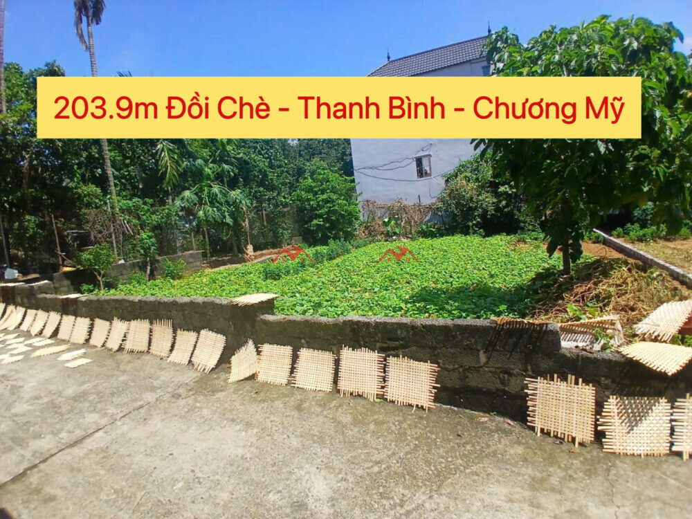 203.9m Đồi Chè – Thanh Bình – Chương Mỹ