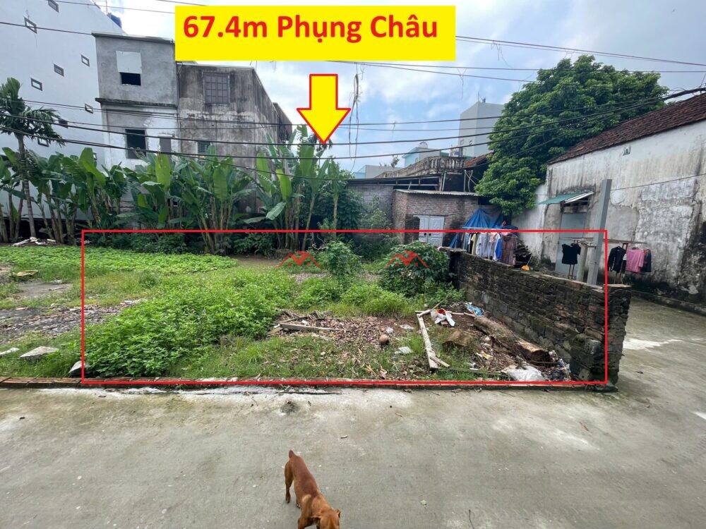 67.4m Xóm Đồng – Phụng Châu – Chương Mỹ