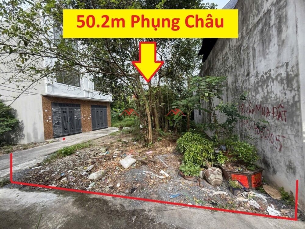 50.2m Phượng Đồng – Phụng Châu – Chương Mỹ – Hà Nội