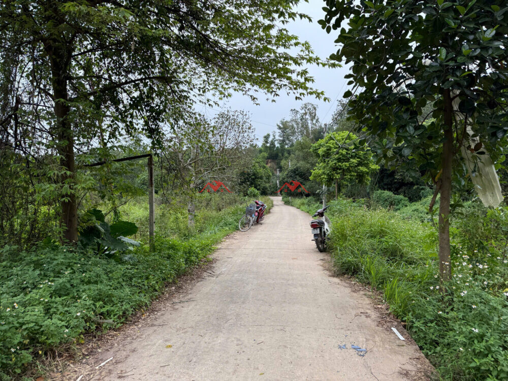 240m Đất Trồng Cây – Ninh Sơn – TT Chúc Sơn – Chương Mỹ