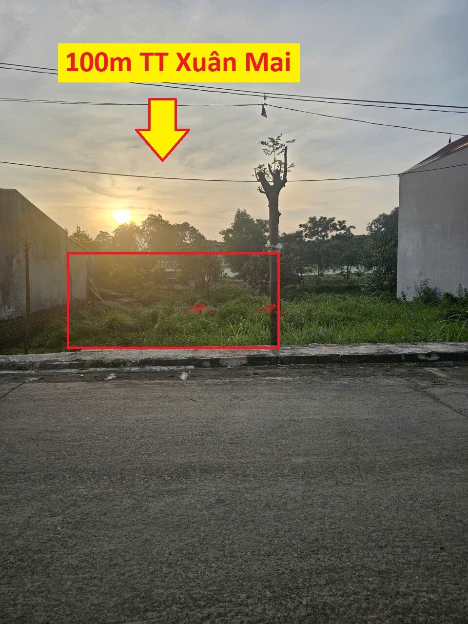 100m T13 Khu Đồng Vai – TT Xuân Mai – Chương Mỹ