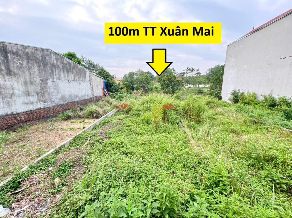 100m T63 Khu Đồng Vai – TT Xuân Mai – Chương Mỹ