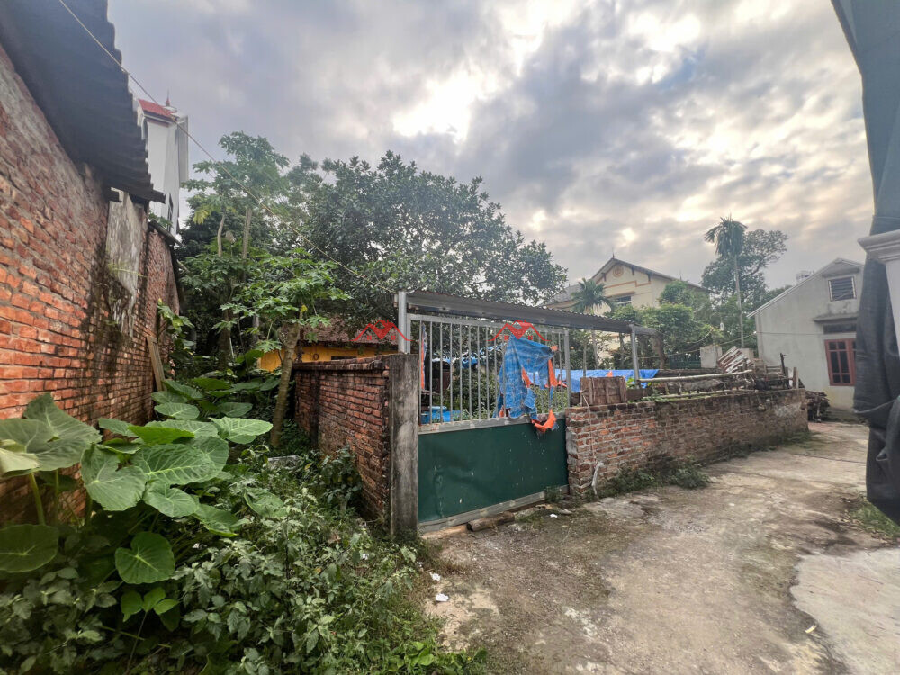 101m Đồi 2 – Đông Phương Yên – Chương Mỹ – Hà Nội