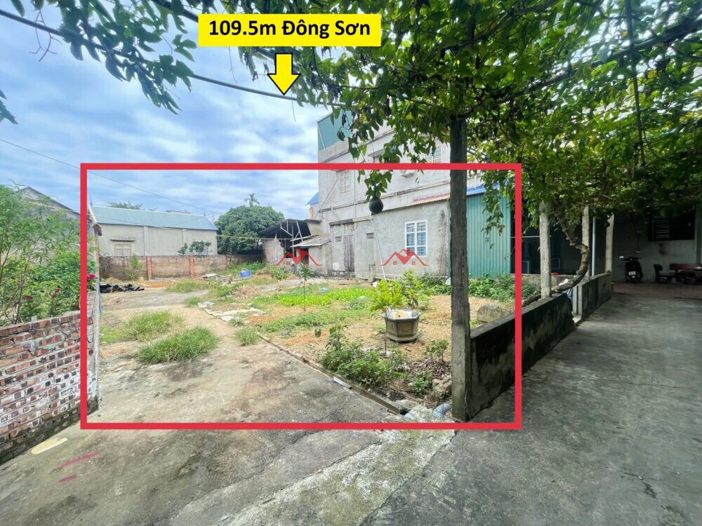 109.5m Phố Gốt – Đông Sơn – Chương Mỹ