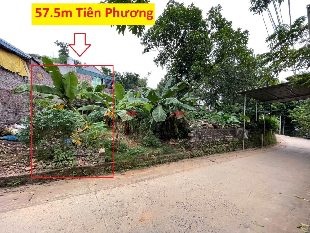 57.5m T326 Sơn Đồng – Tiên Phương – Chương Mỹ – Hà Nội
