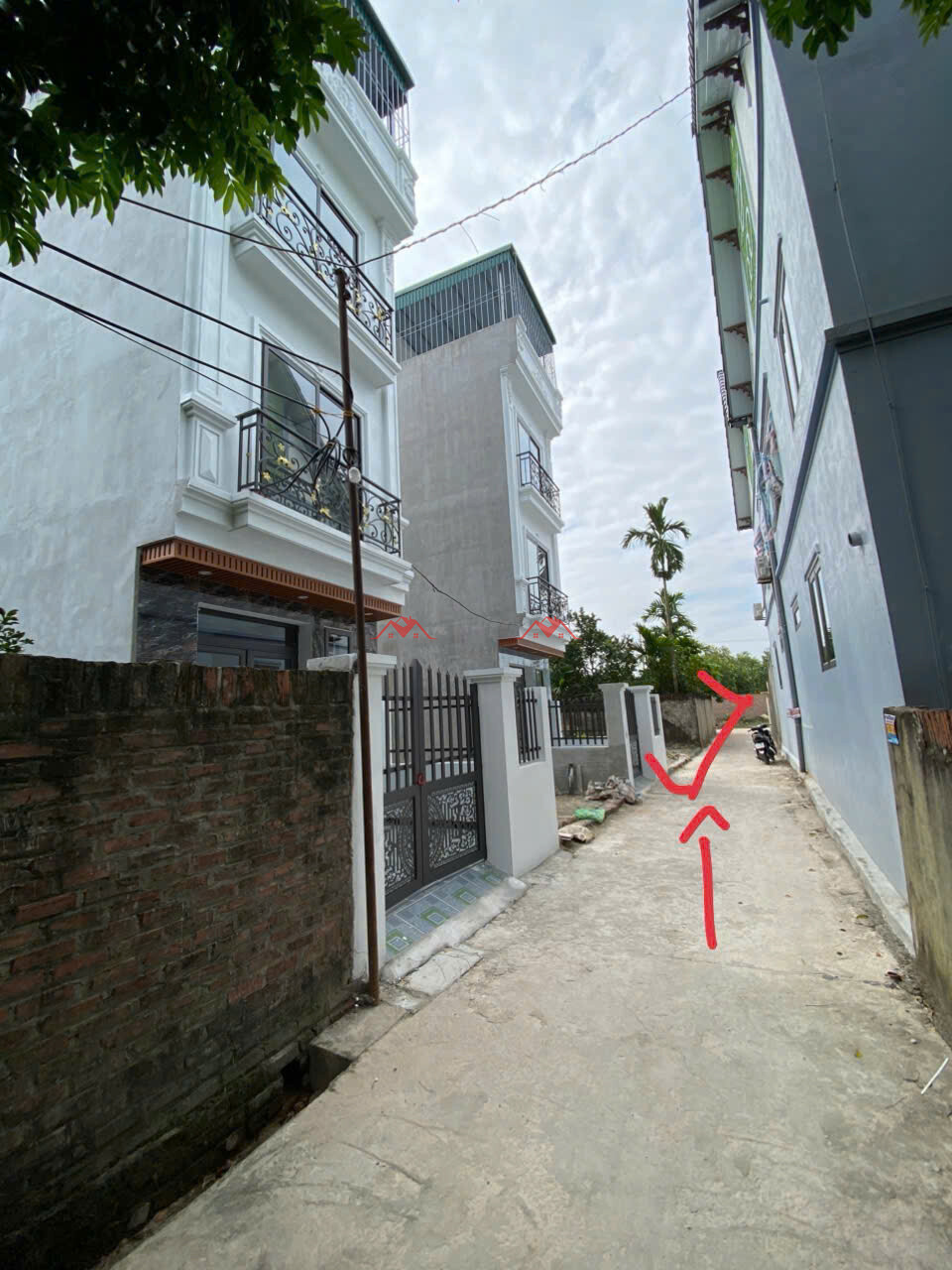 52m Phượng Bản – Phụng Châu – Chương Mỹ – Hà Nội