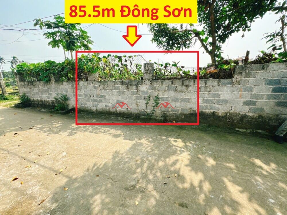 85.5m Xóm Đông – Đông Sơn – Chương Mỹ