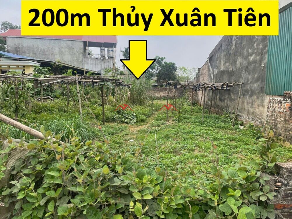 200m  Xuân Linh – Thuỷ Xuân Tiên – Chương Mỹ