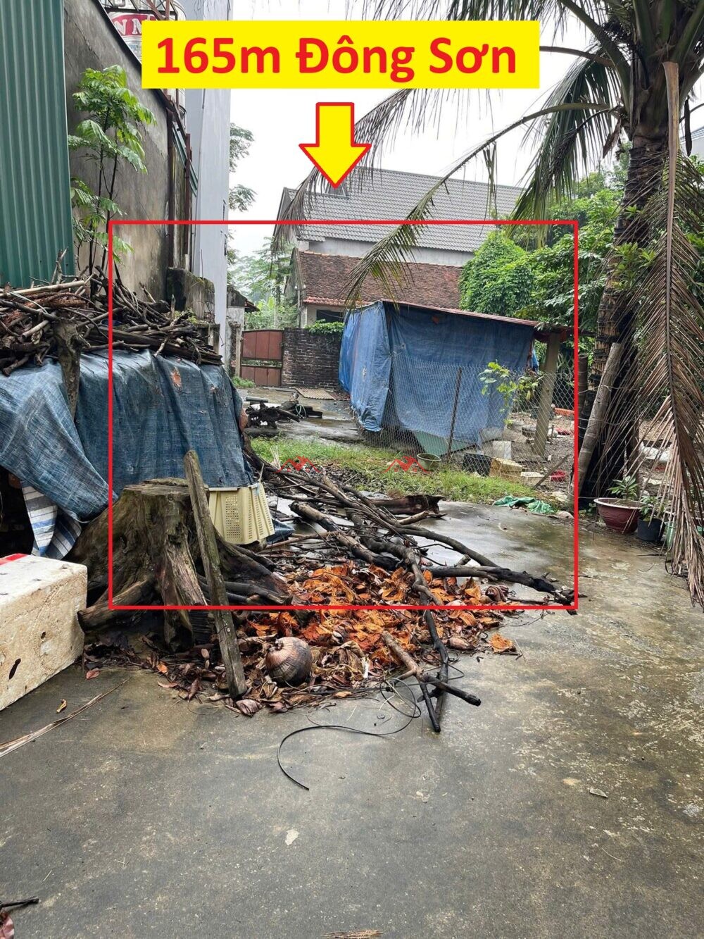 165m Thanh Trì – Đông Sơn – Chương Mỹ – Hà Nội