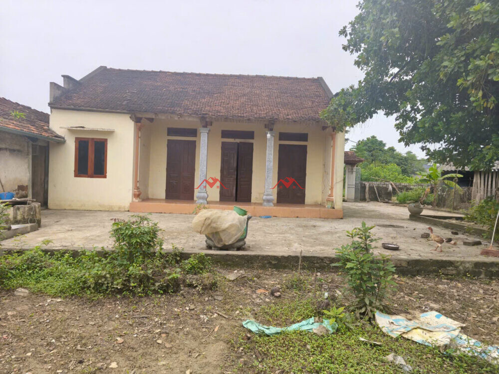 1573m Hạnh Cồn – Nam Phương Tiến – Chương Mỹ