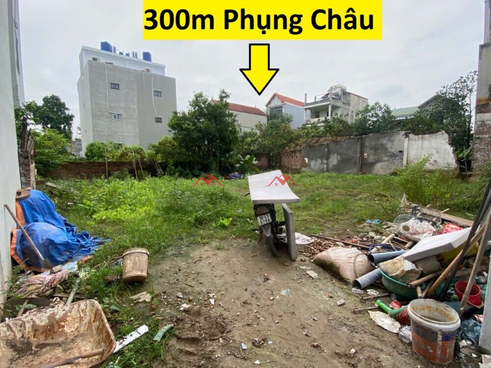 300m Phượng Nghĩa – Phụng Châu – Chương Mỹ – Hà Nội