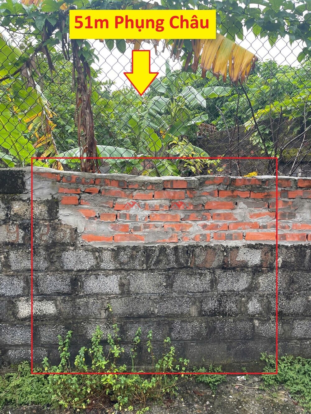 Phượng Bản – Phụng Châu – Chương Mỹ – Hà Nội