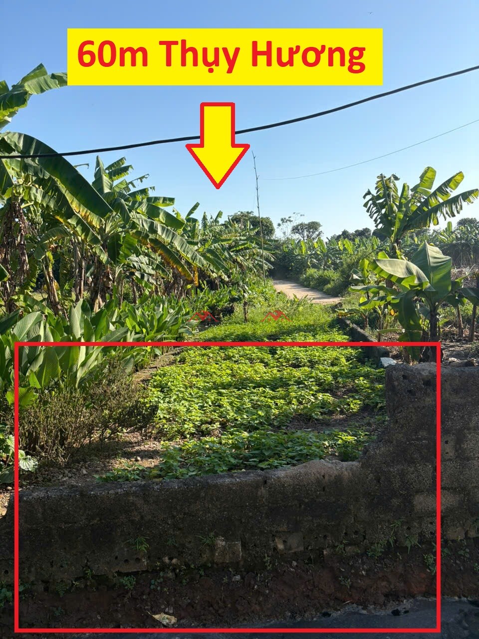 60m Tân An – Thuỵ Hương – Chương Mỹ