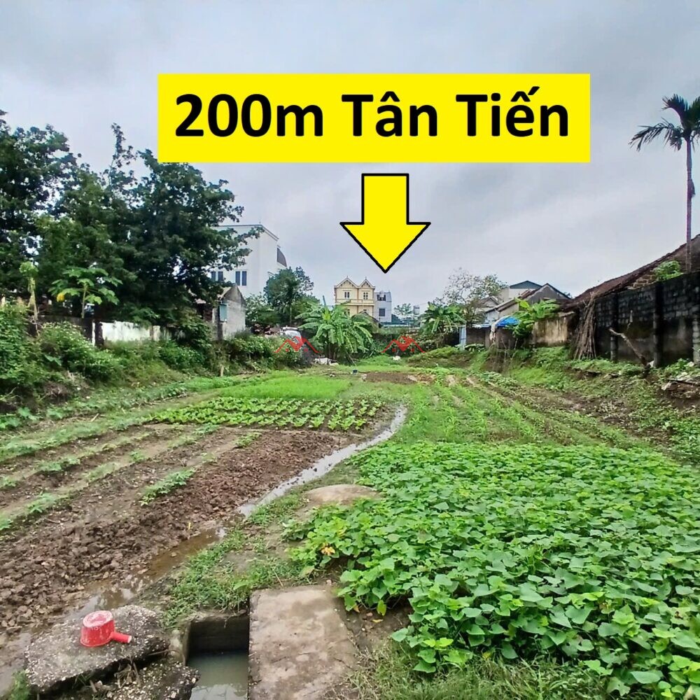 200m Tiến Tiên – Tân Tiến – Chương Mỹ – Hà Nội